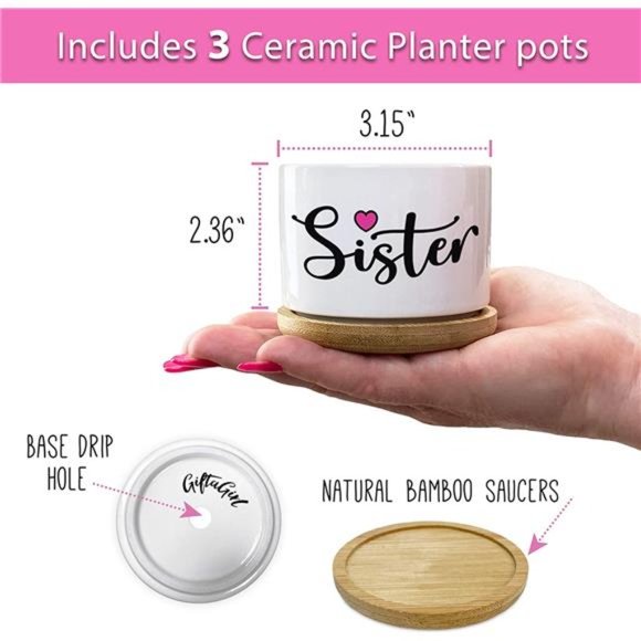 Pretty Sister Gift,Our Best Sister Ever Pots are Beautiful Gifts for Mothers Day - Picture 6 of 6